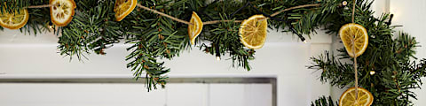 Læs vores guide og få opskriften på hjemmelavede tørrede appelsinskiver til julepynten. Bilka.dk. 