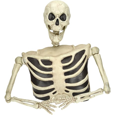 Halloween Skelet fra Graven
