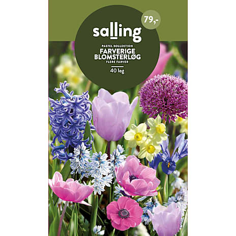 Salling Blomsterløg Pastel Kollektion Mix