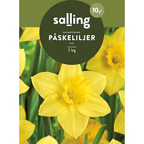 Salling Påskeliljer Gul
