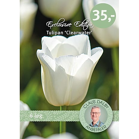 Claus Dalby Tulipaner Clearwater