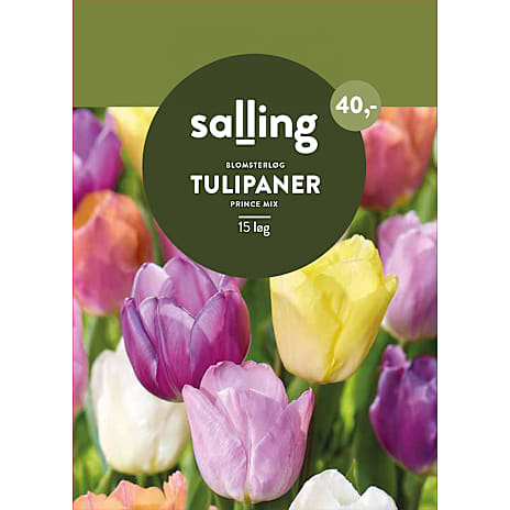 Salling Tulipaner Prince Mix