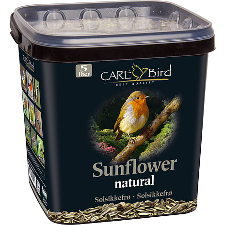 CARE-Bird Solsikke i spand