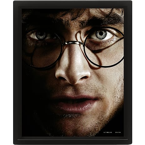 3D Billede Harry Potter vs. Voldemort