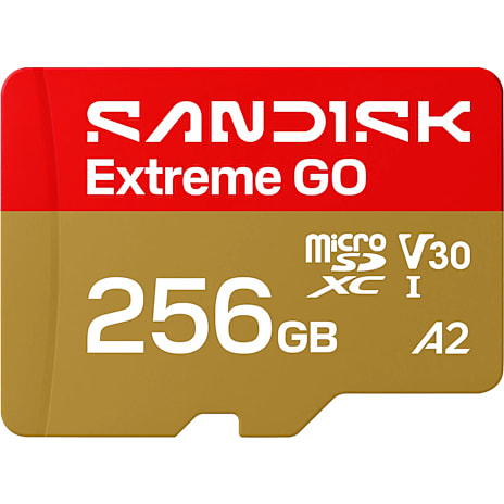 SanDisk MicroSD Extreme Go