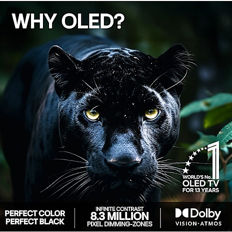 LG OLED C6 77" 4K TV