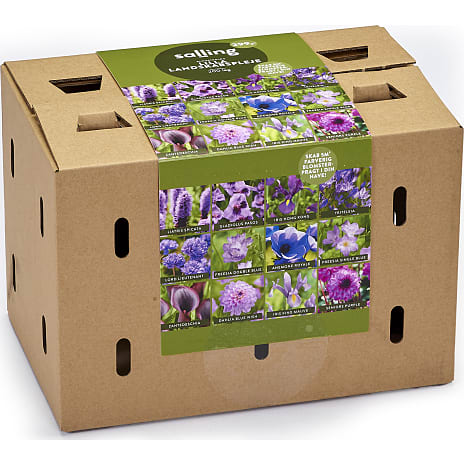 Salling Blomsterløg Lilla Mix