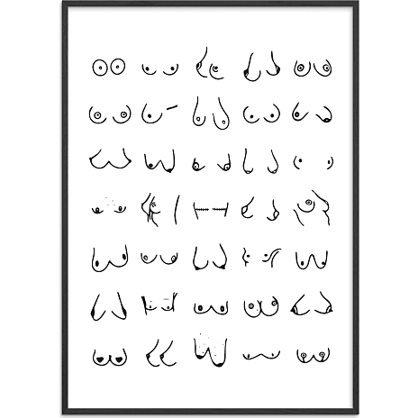 Citatplakat Boobies nr. 3 - 30x40 cm 1 stk.