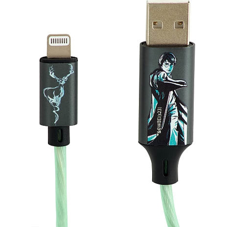 USB A-MFI Kabel 1,2 m Harry Potter