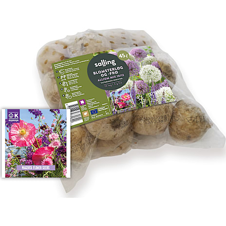 Salling Blomsterløg Allium Mix