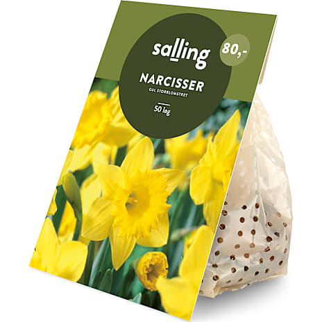 Salling Narcisser Gul