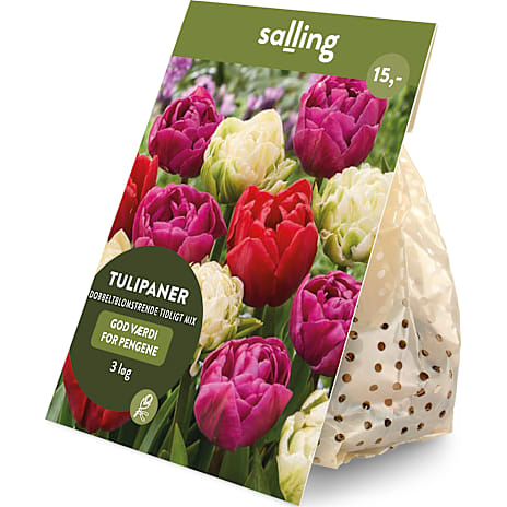 Salling Blomsterløg Tulipaner Dobbeltblomstrende Tidligt Mix 3 Løg