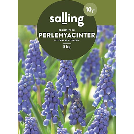 Salling Perlehyacinter Muscari Armeniacum