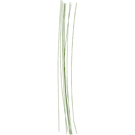 Blomsterstængel grøn
