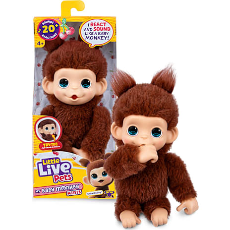 Little Live Pets Mini Abe Bamse