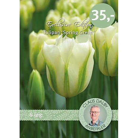 Claus Dalby Tulipaner Spring Green