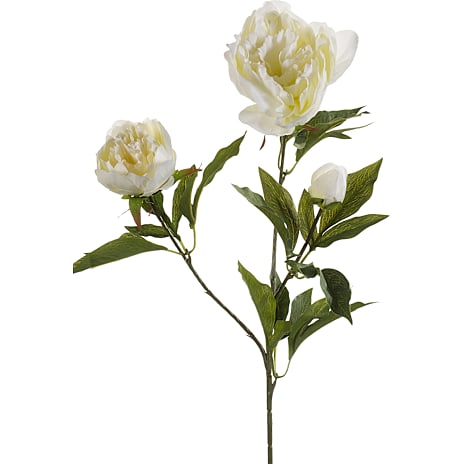 Andre Mærker Kunstig blomsterstilk pæon - creme 1 stk.