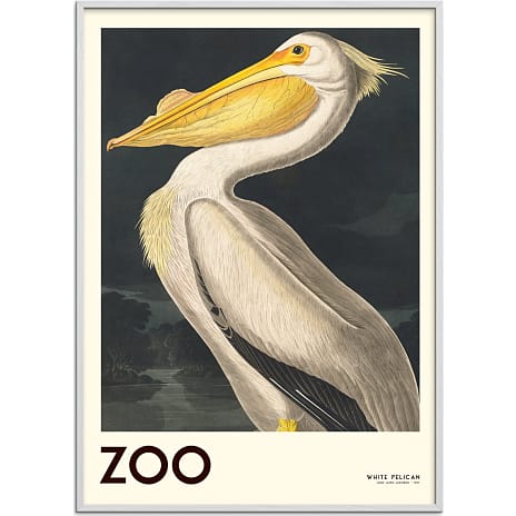 Citatplakat The Zoo Collection Pelican - 30x40 cm 1 stk.