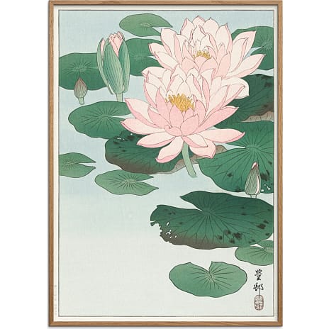 Citatplakat Water lilies, japansk - 30x40 cm 1 stk.