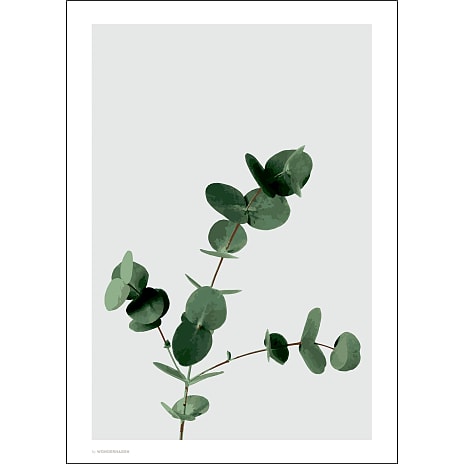 Citatplakat Eucalyptus 50x70