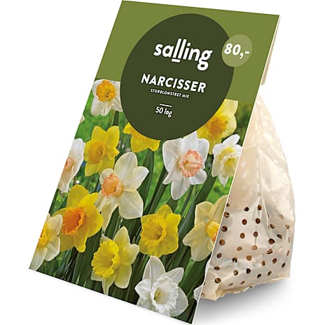 Salling Blomsterløg Påskelilje Mix 50 Løg