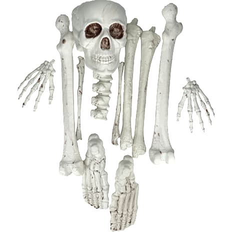 Halloween Skeletdele Hvid