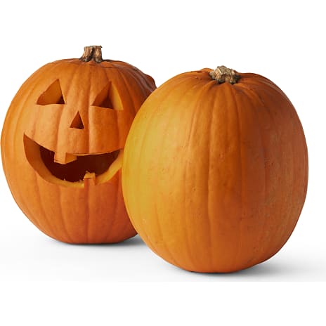 Halloweengræskar 3-7 kg