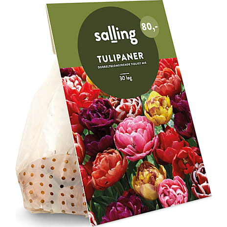 Salling Blomsterløg Tulipaner Dobbeltblomstrende Tidlig Mix 30 Løg