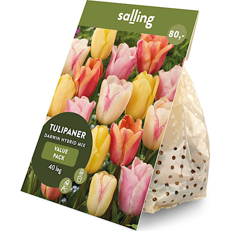 Salling Blomsterløg Tulipaner Darwin Hybrid Pastel Mix 40 løg