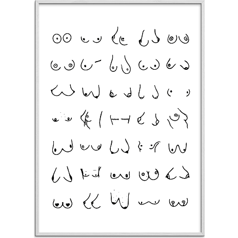 Citatplakat Boobies nr. 3 - 50x70 cm 1 stk.