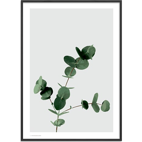 Citatplakat Eucalyptus