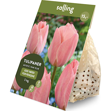 Salling Blomsterløg Tulipaner Mystic Van Eijk 5 løg