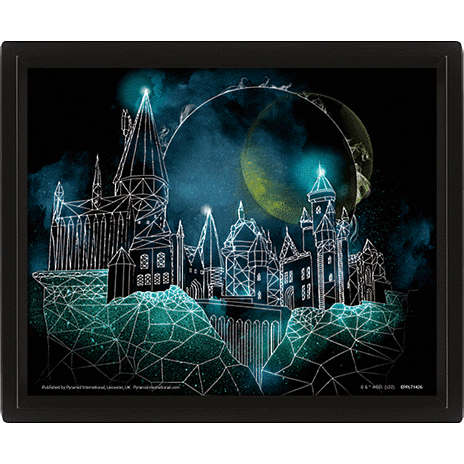 Harry Potter 3D Billede Hogwarts
