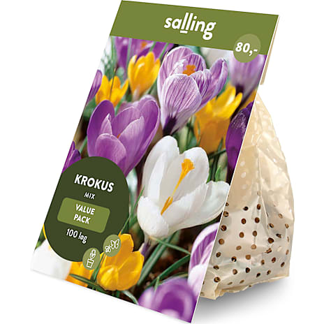 Salling Blomsterløg Krokus Mix 100 løg