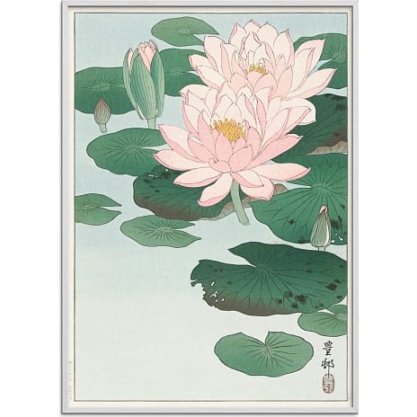 Citatplakat Water lilies, japansk - 50x70 cm 1 stk.