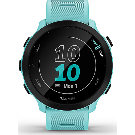 Garmin Forerunner 55 GPS-smartwatch Blå