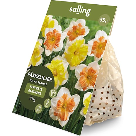 Salling Blomsterløg Påskeliljer Solar Flames 8 løg