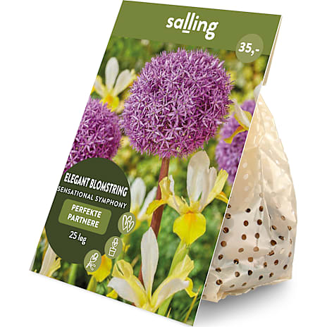 Salling Blomsterløg Prydløg/Iris Sensational Symphony 25 løg