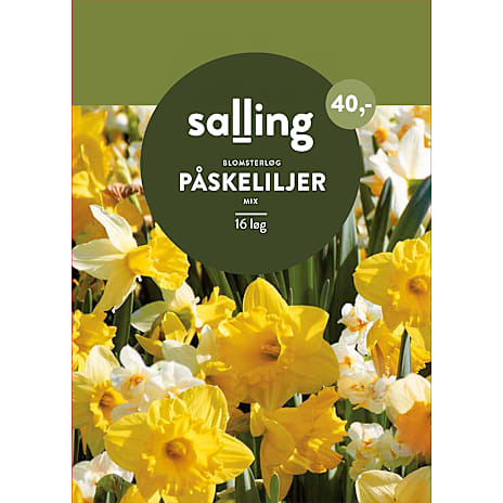 Salling Påskeliljer Mix