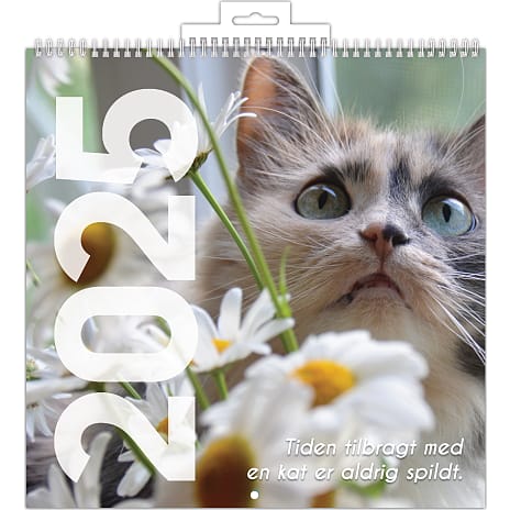 1Conzept Billedkalender 2025 Katte