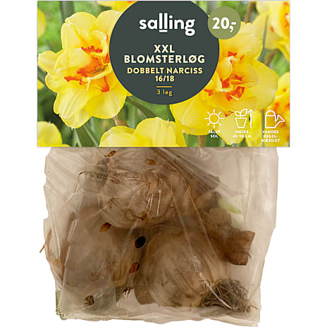 Salling Påskeliljer Narcissus Double