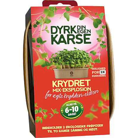 Baza House of Seeds Almindelig Karse Dyrkesæt