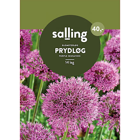 Salling Prydløg Purple Sensation
