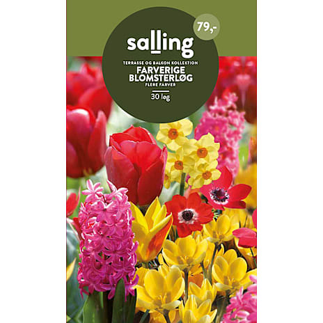 Salling Blomsterløg Terrasse- og Balkonkollektion Mix