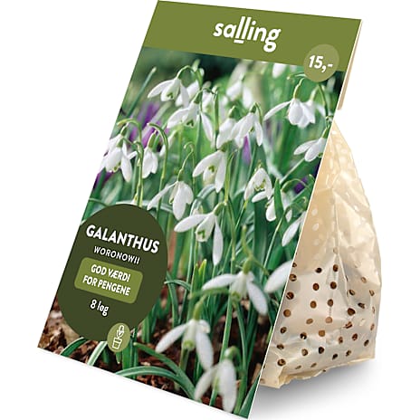 Salling Blomsterløg Galanthus Woronowii 8 Løg