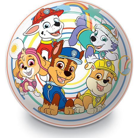 Paw Patrol Bold