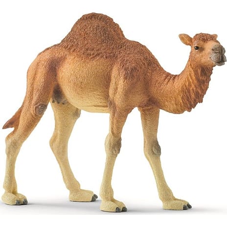 Schleich Dromedar 14832
