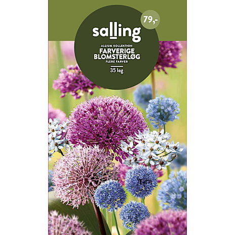 Salling Blomsterløg Allium Kollektion Mix