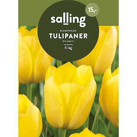 Salling Tulipaner Big Smile