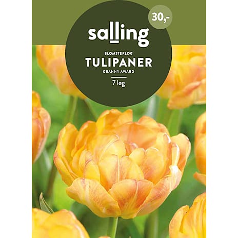 Salling Tulipaner Granny Award